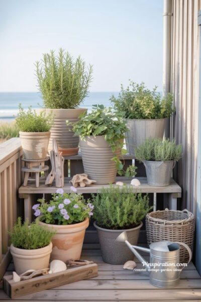 Small coastal cottage container garden with mixed pots and seaside charm