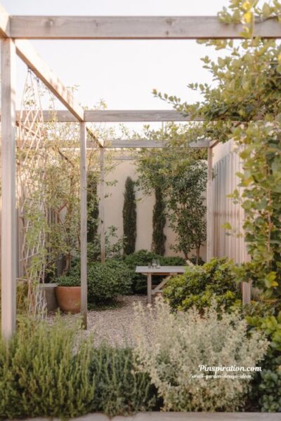 Small garden privacy ideas using plants and climbing greenery for natural stylish outdoor screening