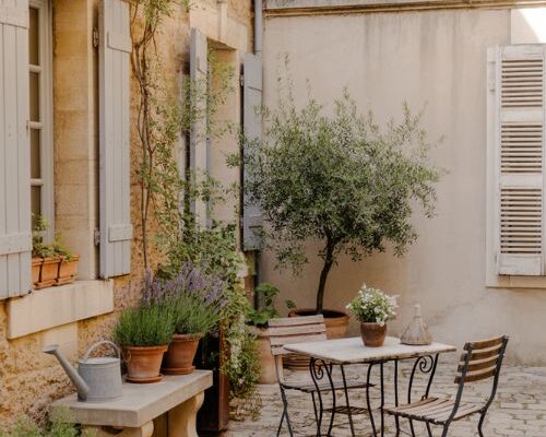 French courtyard design with rustic stone patio olive trees and calm lived-in outdoor charm