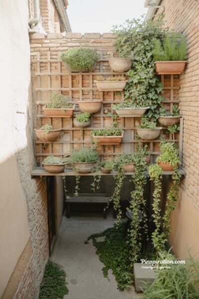 courtyard garden vertical wall with climbing ivy wooden trellis and soft green layered outdoor space