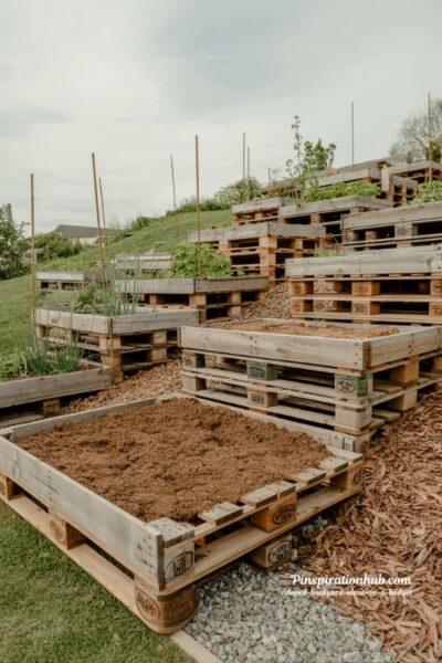 repurposed pallet retaining wall on gentle sloped backyard DIY budget landscaping with anchored wood pallets and early climbing plants