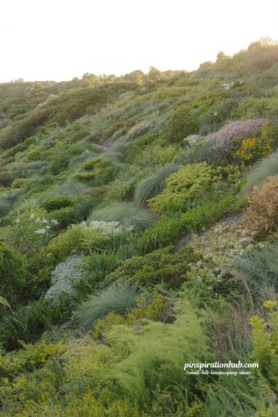 small hill landscaping ideas mixed perennial hillside garden with layered plants for color height and seasonal interest