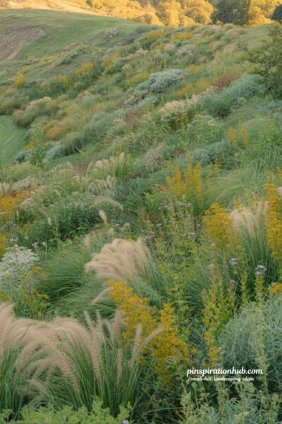 small hill landscaping ideas prairie inspired hillside garden with native grasses and wildflowers for seasonal natural planting