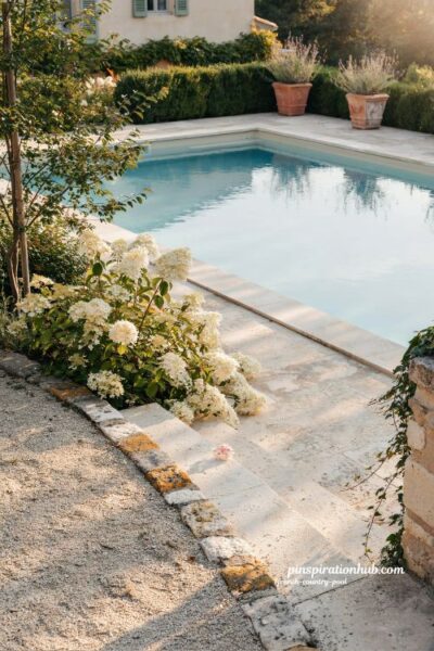 French country pool with white hydrangeas and evergreen hedging along water’s edge garden design