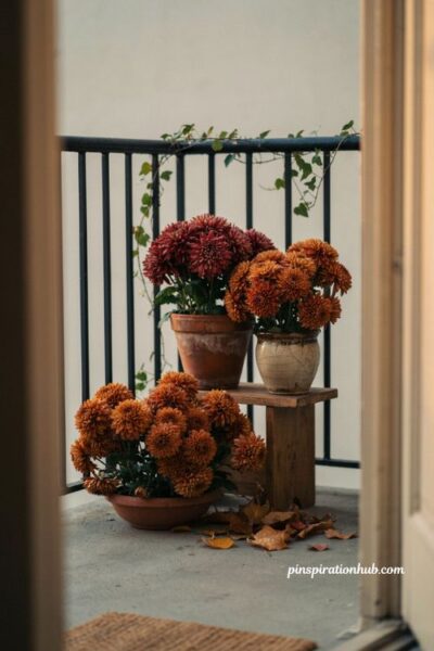 Layered fall mums in rust amber and burgundy pots, cozy small balcony decorated with colorful chrysanthemums, terracotta planters, autumn flowers, and rustic seasonal decor