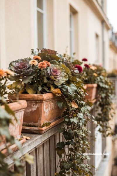 Railing planters with trailing ivy and ornamental kale, cozy fall balcony decor with dwarf mums, cascading greenery, autumn flowers, and rustic planters
