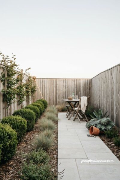 Dwarf plants for a low maintenance small backyard