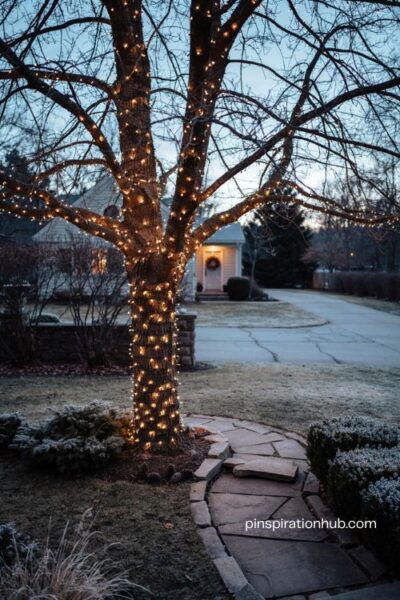 Light wrapped trees in the yard with warm white christmas lights on the trunk and branches
